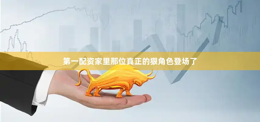 第一配资家里那位真正的狠角色登场了
