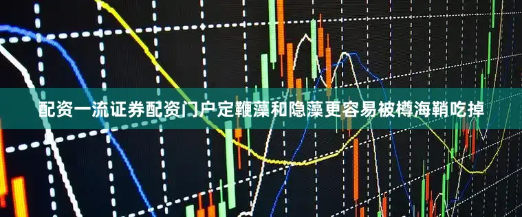 配资一流证券配资门户定鞭藻和隐藻更容易被樽海鞘吃掉